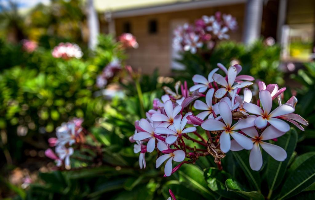 The Kimberley Grande Resort Kununurra Ngoại thất bức ảnh